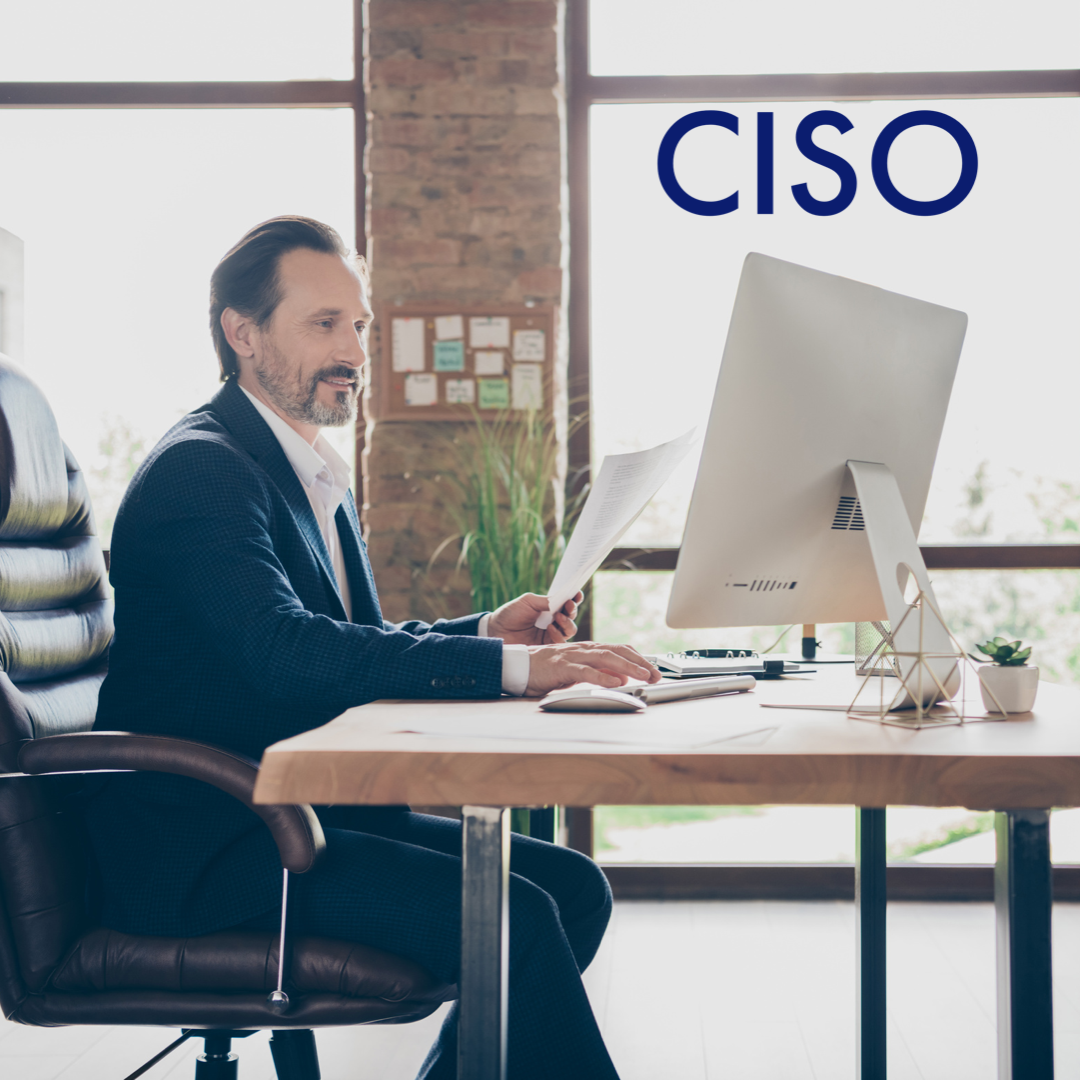 CISO flaw hypothesis methodology cyber risk assessment cybersecurity best practices WISP insurance risk transfer 