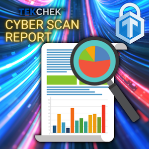 cybersecurity scanning externally observable risk assessment report 