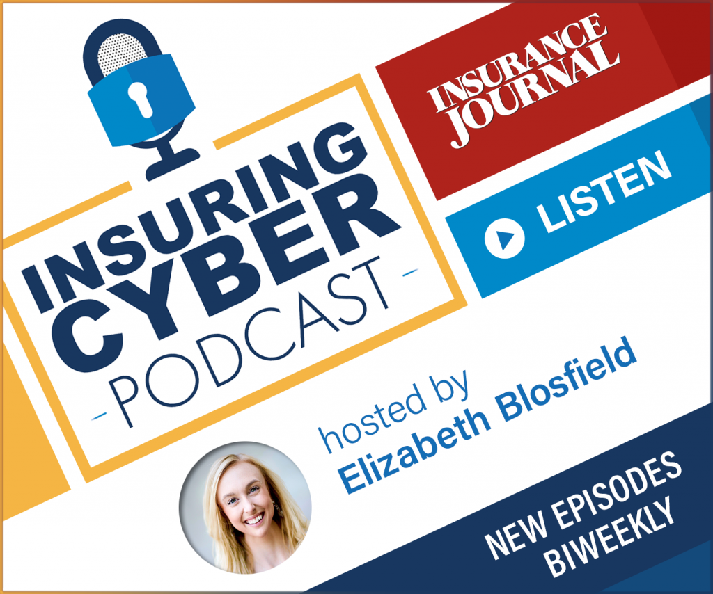 Bill Haber SMB cybersecurity best practices insurance cyber liability CISO Define RMM TPRM risk assessment vulnerability privacy Flaw Hypothesis Methodology high assurance guard ecosystem 