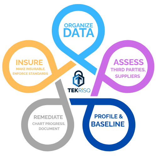 TEKRiSQ 3prm TPRM third-party risk management cyber-risk-assessment-rediation-insure-solutions-remediate-define-rmm-best-practices third party CISO.png